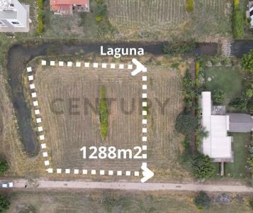 COMPLEJO CAMPESTRE NORTE , Norte, Santa Cruz 00001, Bolivia