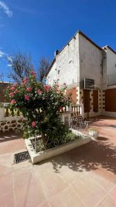 Calle 19 de Marzo s/n, Barrio Urkupiña, Zona Yurac Yurac s/n, Sucre, Chuquisaca 000, Bolivie