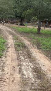 Sur, Santa Cruz 00001, Bolivia