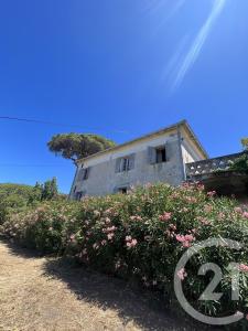 Pino, Corse 20228, France