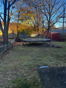 8 Roosevelt Avenue, Binghamton, NY 13901, USA