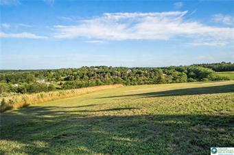6909 Country Spring Rd, New Tripoli, Pennsylvanie 18066-2432, États-Unis