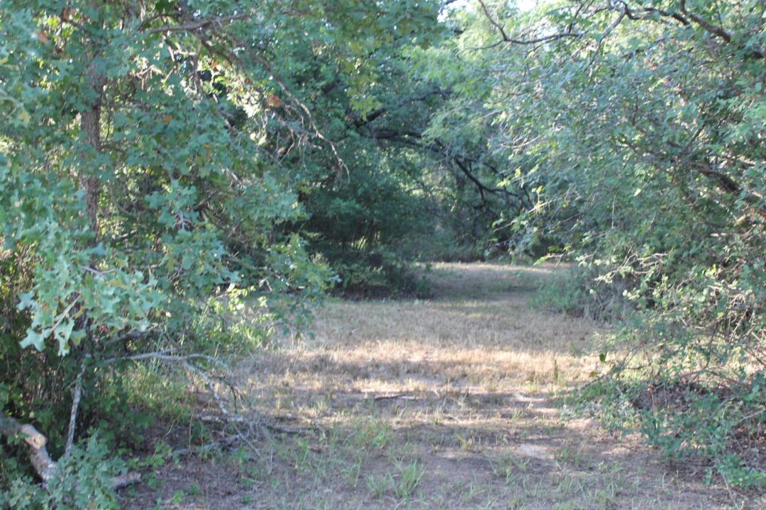Lot 4 Port O Call, Runaway Bay, Texas 76426, Estados Unidos