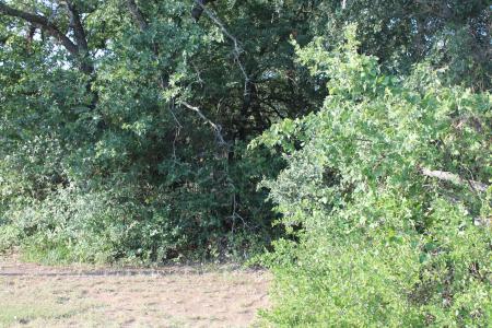 Lot 4 Port O Call, Runaway Bay, Texas 76426, Estados Unidos