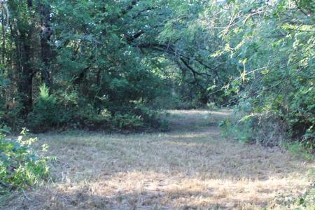 Lot 4 Port O Call, Runaway Bay, Texas 76426, Estados Unidos