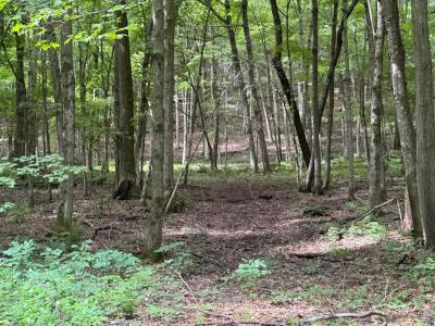 17495 E Gross Valley Ln, Hillsboro, Wisconsin 54634, Estados Unidos