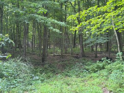 17495 E Gross Valley Ln, Hillsboro, Wisconsin 54634, Estados Unidos