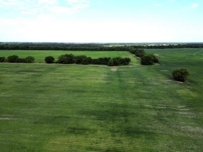 121 ac FM 904, Commerce, Teksas 75428, USA