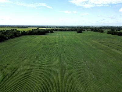 121 ac FM 904, Commerce, Texas 75428, USA