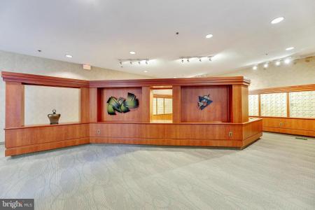 5505 Seminary Road Unit# 1707N, Falls Church, 버지니아 22041, 미국