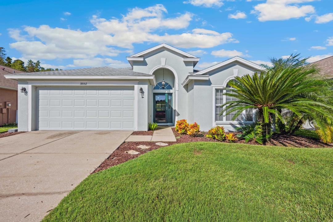 31052 Wrencrest Dr, Wesley Chapel, 佛罗里达州 33543, 美国