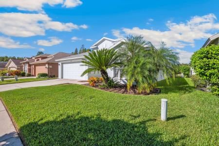 31052 Wrencrest Dr, Wesley Chapel, 佛罗里达州 33543, 美国