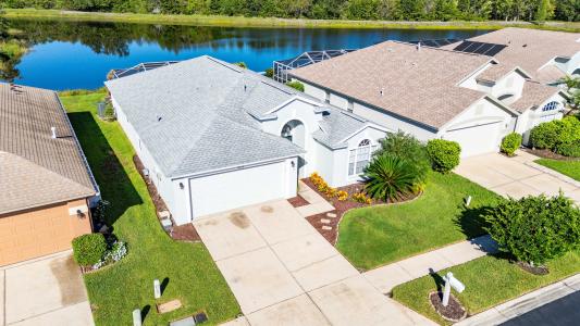 31052 Wrencrest Dr, Wesley Chapel, 佛罗里达州 33543, 美国