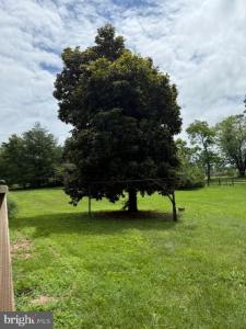 13342 Marsh Road, Bealeton, Virginia 22712, USA