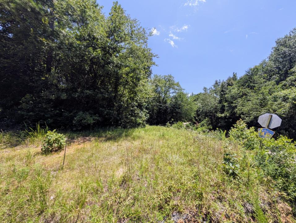 Unk Polk Road 48 and Polk Road 95, Mena, Arkansas 71953, HOA KỲ