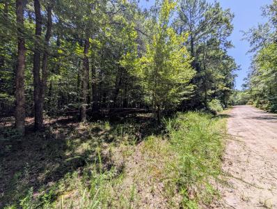 Unk Polk Road 48 and Polk Road 95, Mena, Arkansas 71953, HOA KỲ