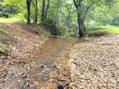 0 Big Level Road, Mill Spring, Caroline Du Nord 28756, États-Unis