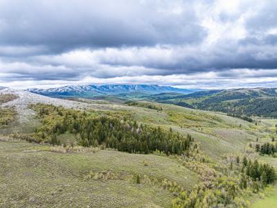 TBD NYD Buckskin Rd. (39.78 AC), Pocatello, Idaho 83201, Estados Unidos
