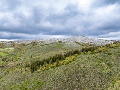 TBD NYD Buskin Rd. (119.4 AC), Pocatello, Idaho 83202, Estados Unidos