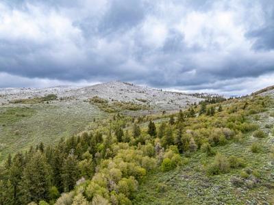 TBD NYD Buskin Rd. (119.4 AC), Pocatello, Idaho 83202, USA
