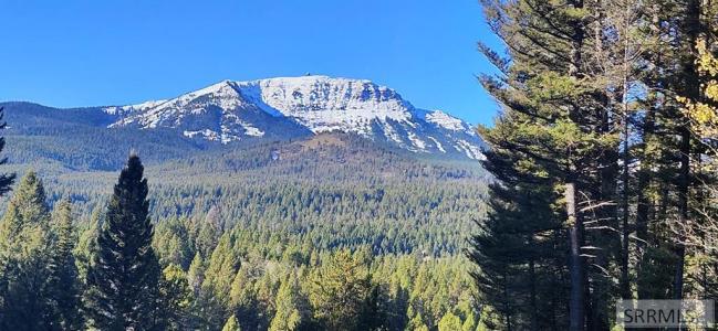 4911 Alpenglow Way, Island Park, Idaho 83429, États-Unis