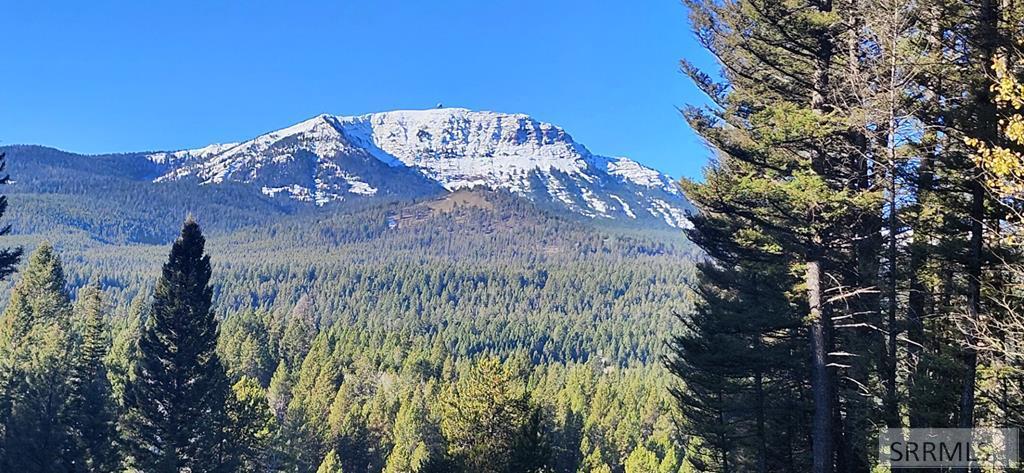 4911 Alpenglow Way, Island Park, איידהו 83429, ארצות הברית של אמריקה 