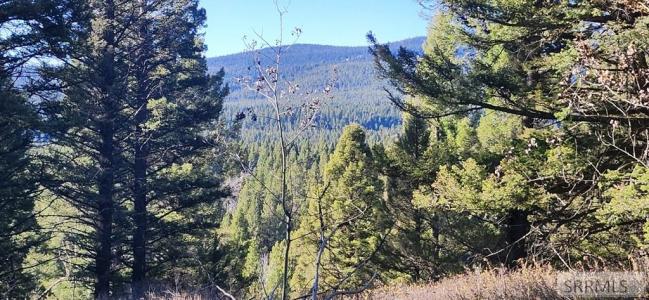 4911 Alpenglow Way, Island Park, איידהו 83429, ארצות הברית של אמריקה 