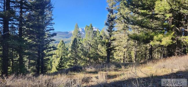 4911 Alpenglow Way, Island Park, איידהו 83429, ארצות הברית של אמריקה 