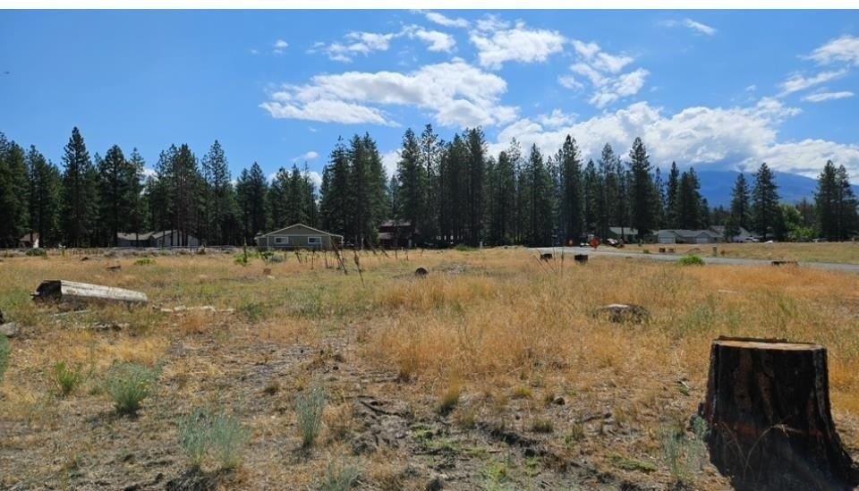 17406 Possum Way, Weed, California 96094, Estados Unidos