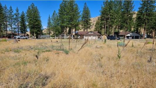 17406 Possum Way, Weed, California 96094, Estados Unidos