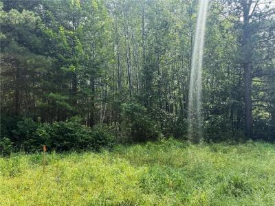 000 Sunset Valley Road, Nisswa, Minnesota 56468, USA