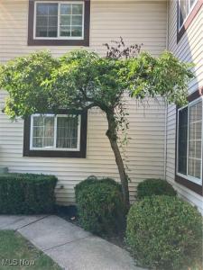 237 Greenbriar Court, Euclid, Ohio 44143