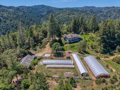 7950 Hearst Willits Rd, Willits, Californie 95490, États-Unis