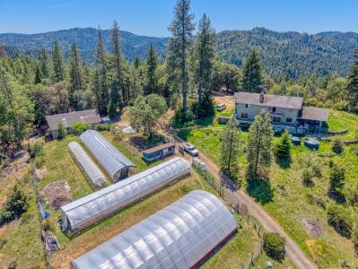 7950 Hearst Willits Rd, Willits, Californie 95490, États-Unis