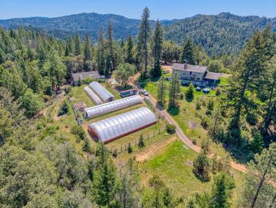 7950 Hearst Willits Rd, Willits, Californie 95490, États-Unis
