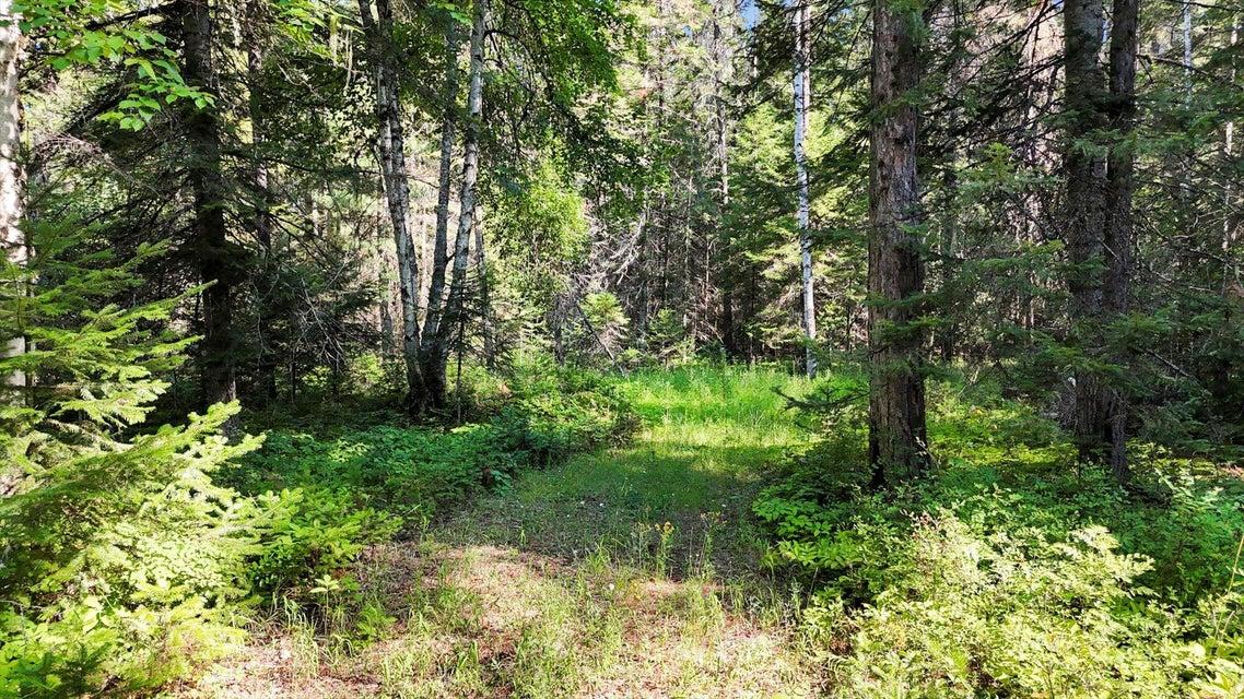 238 Rustic Rd, Cusick, Washington 99119, Amerika Birleşik Devletleri