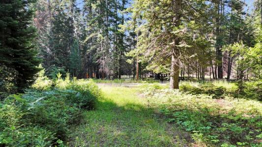 238 Rustic Rd, Cusick, Washington 99119, Amerika Birleşik Devletleri