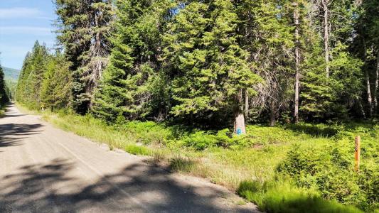 238 Rustic Rd, Cusick, Washington 99119, Amerika Birleşik Devletleri