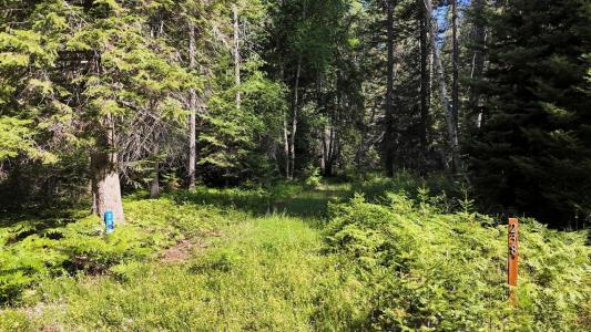 238 Rustic Rd, Cusick, Washington 99119, USA