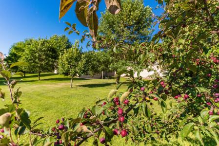 29689 203rd Avenue, Fergus Falls, Minnesota 56537