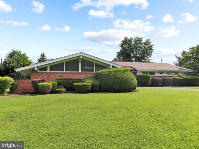 845 Mountain View Road, Waynesboro, 賓夕法尼亞州 17268, 美國