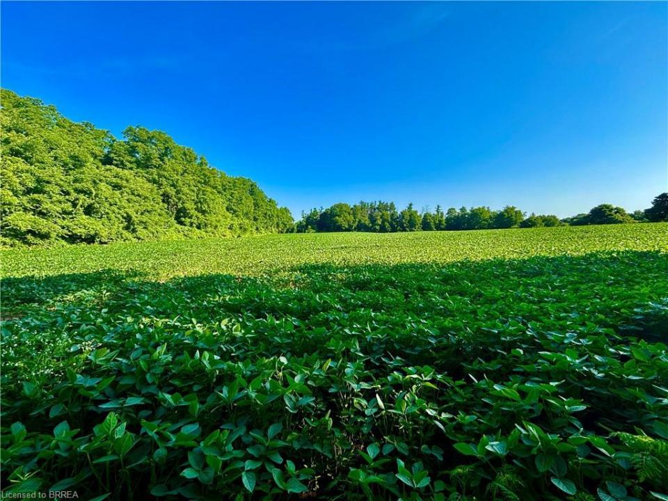 81 HOWELL ROAD, St. George, Ontario N0E 1N0, Canadá