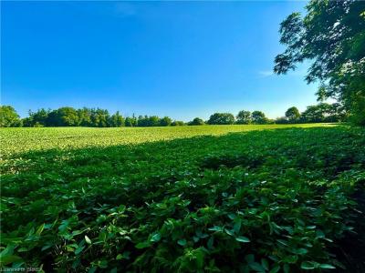 81 HOWELL ROAD, St. George, Ontario N0E 1N0, Canadá