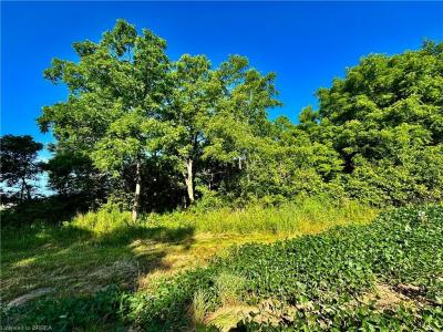 81 HOWELL ROAD, St. George, Ontario N0E 1N0, Canadá