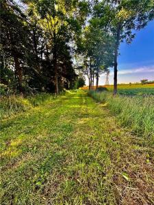 81 HOWELL ROAD, St. George, Ontario N0E 1N0, Canadá