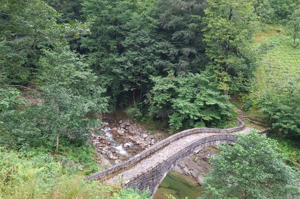 Rize, 土耳其