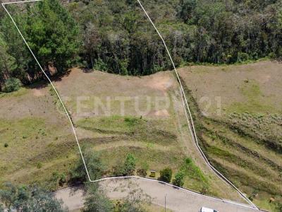 Medellín, Antioquia 00001, Colombia