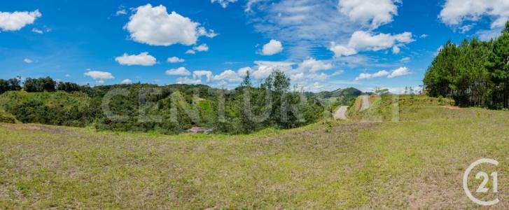 Medellín, Antioquia 00001, Colombia
