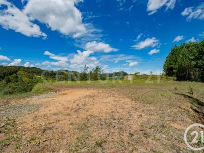 Medellín, Antioquia 00001, Colombia