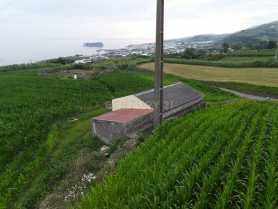 Vila Franca Do Campo, São Miguel 9680-501, Portogallo